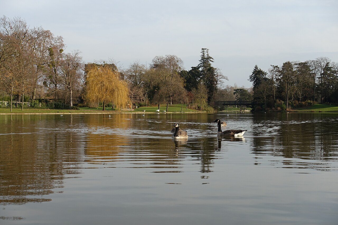 Bois de Vincennes